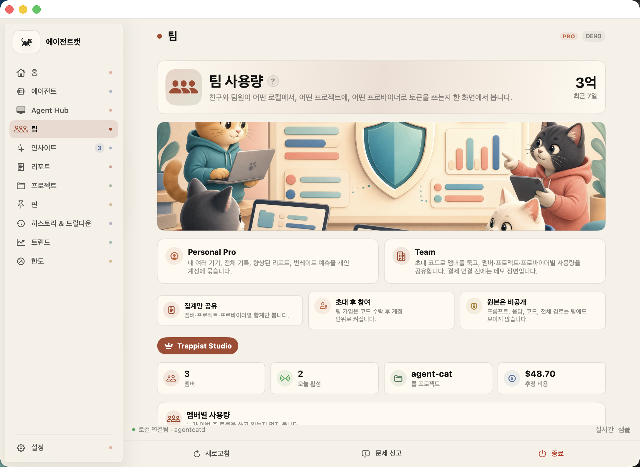 Agent Cat Team 프로젝트 사용량 예시 화면